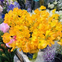 おはようございます🧡