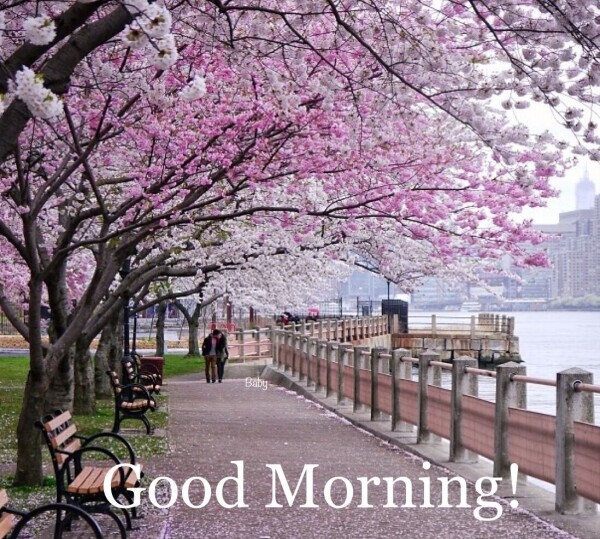 おはようございます