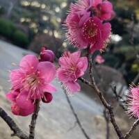 おやすみなさい✨