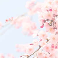 ありがとうございました💞