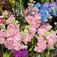 おはようございます🧡