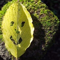 おはようございます✨