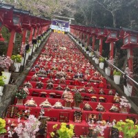 おはようございます