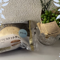 市原ルームにおります✨