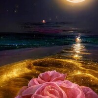 今日はワームムーン