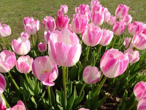 おはようございます☀