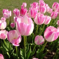 おはようございます☀