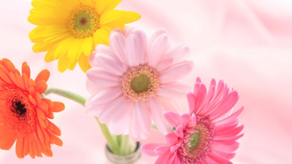 本日市原ルームです💕