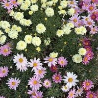 おはようございます♡