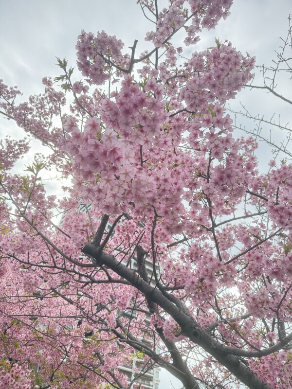 おはようございます