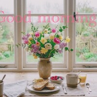 おはようございます！