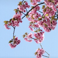 今日もありがとう(∩´∀`∩)