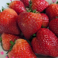 大好きないちごGET🍓🍓🍓