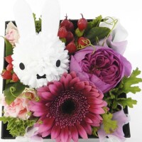 おはようございます