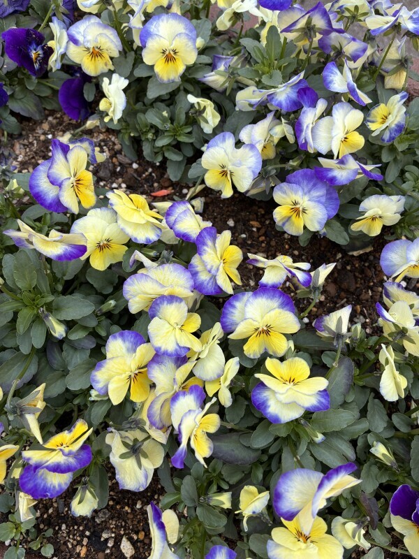 おはようございます🧡