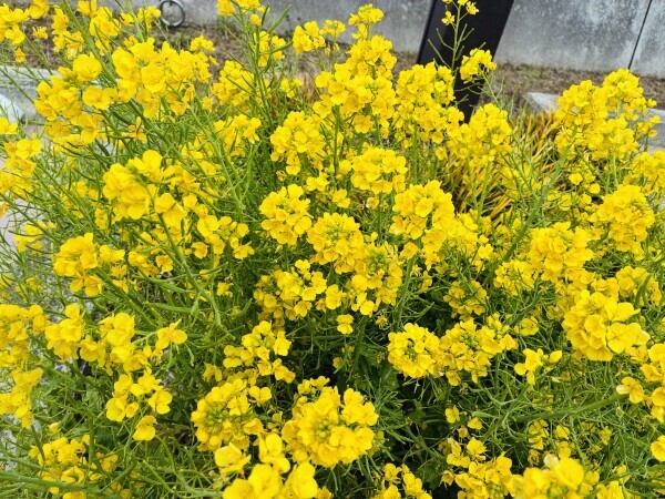 おやすみなさい🥰