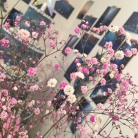 おはようございます☀