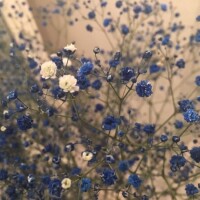 ありがとうございました🌸