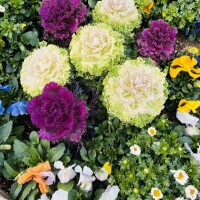 おはようございます🧡