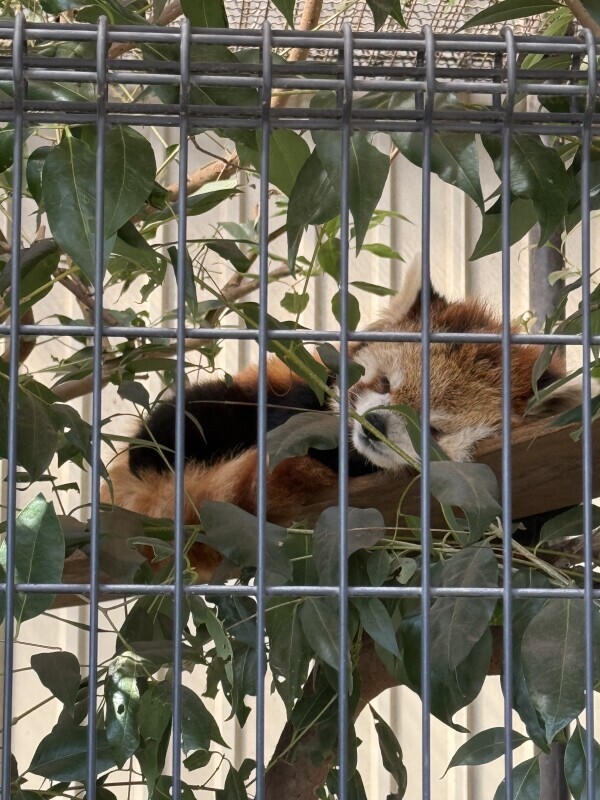 なんだか最近は