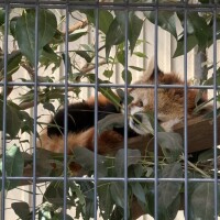 なんだか最近は