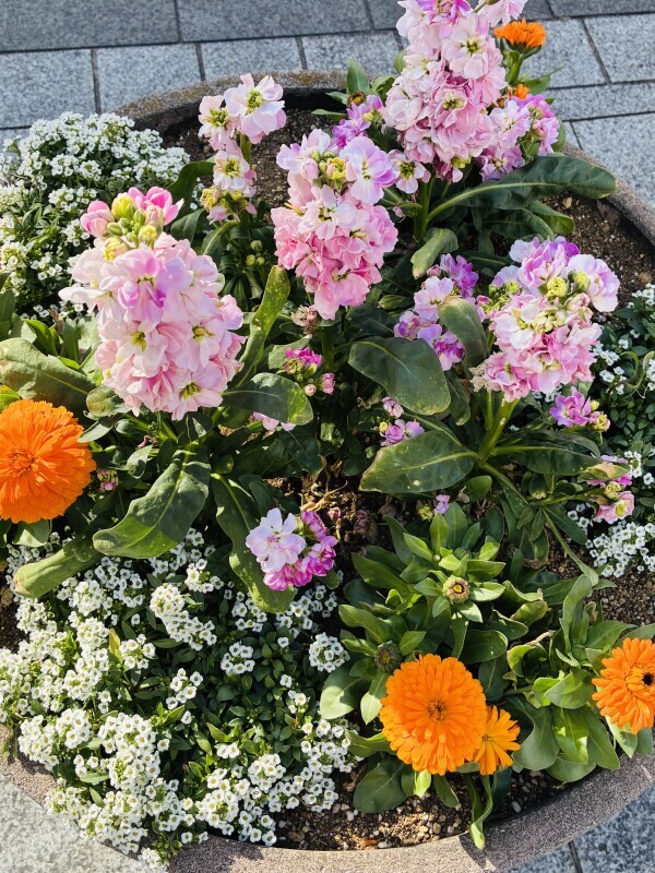 おはようございます💕