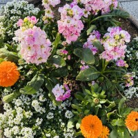 おはようございます💕