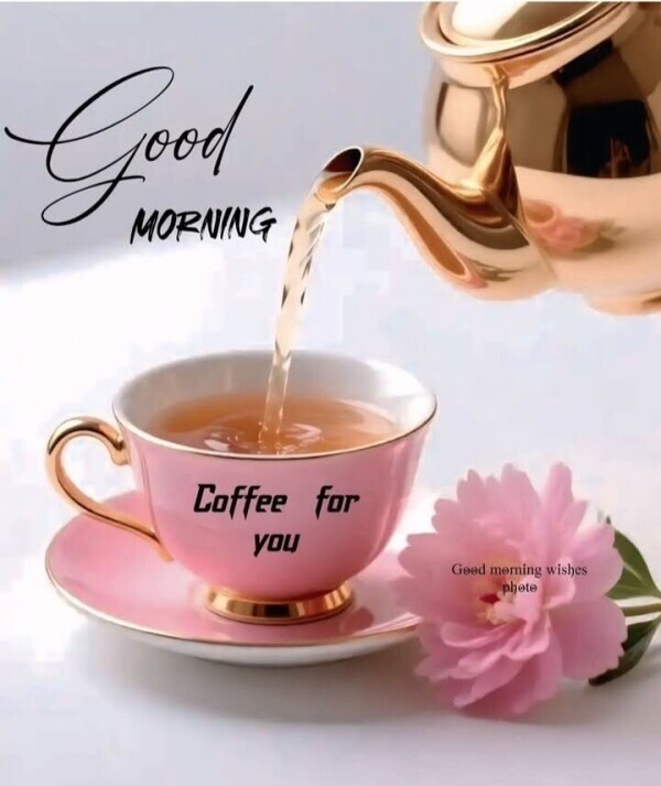 おはようございます