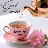 おはようございます