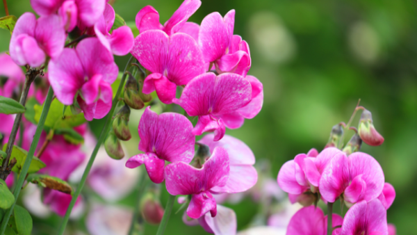 今夜市原ルームです🌜