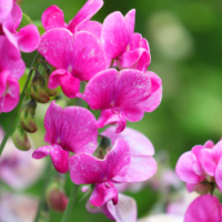 今夜市原ルームです🌜