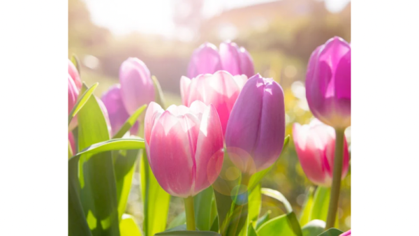 今夜千葉ルームです