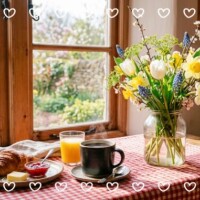 🌹✨𝓖𝓸𝓸𝓭 𝓶𝓸𝓻𝓷𝓲𝓷𝓰🌹✨