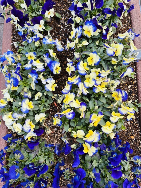 おはようございます🧡