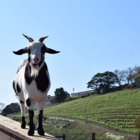 おはようございます☀