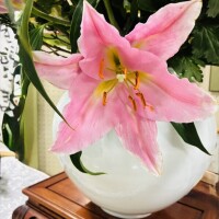 おはようございます🧡