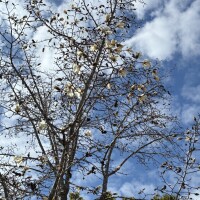 おやすみなさい😉