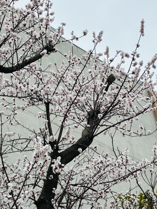 おはようございます💖