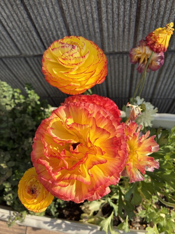 おはようございます💛