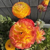 おはようございます💛