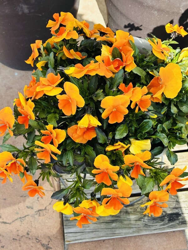 おはようございます💕