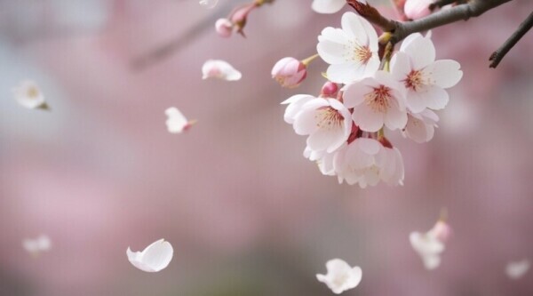 今夜市原ルームです