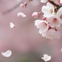 今夜市原ルームです