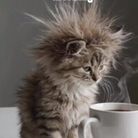 おはようございます