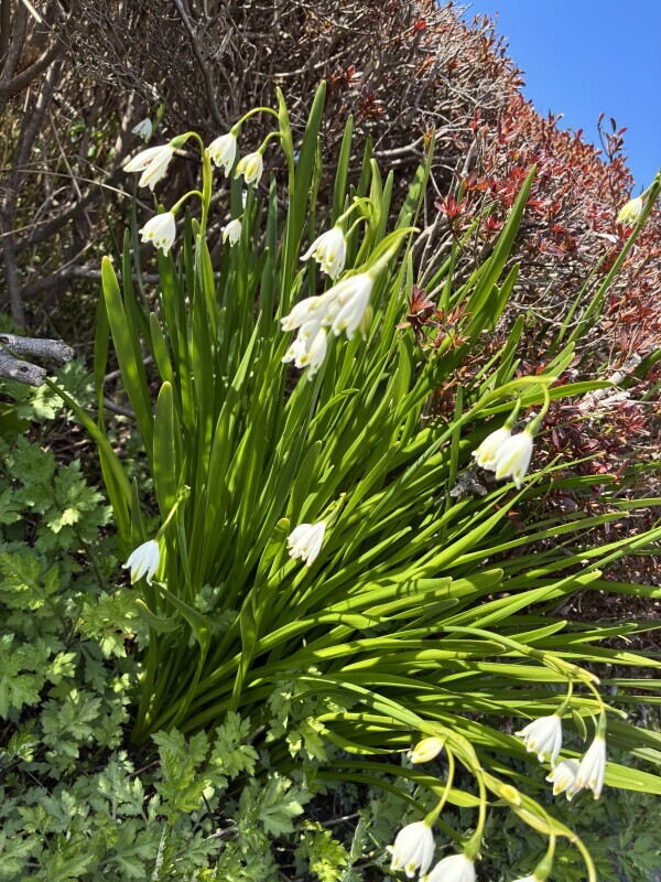 おはようございます💛