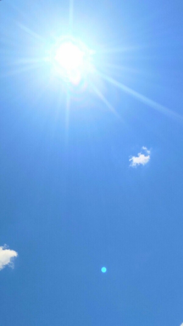 おはようございます