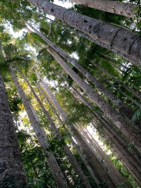 ありがとうございました✨