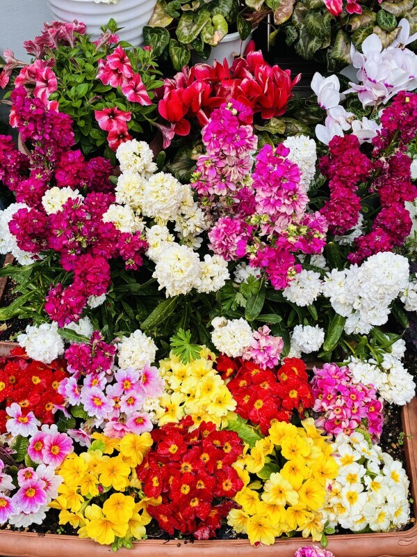 おはようございます♡