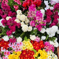 おはようございます♡