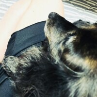 こんばんは⭐️